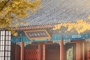 OPEN DAY | ﺲW(xu)УOSSD(gu)Hn(xing)ĿУ@_(ki)\(chng)c