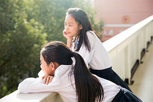 2025年北京市海淀區崛起實驗學校幼升小學費標準一覽！性價比高