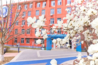 北京新府學(xué)外國(guó)語(yǔ)學(xué)校(國(guó)內(nèi)班)家長(zhǎng)印象如何？大家的評(píng)價(jià)好不好？
