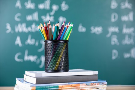 2025-2026學年北京市朝陽區北外同文外國語學校入學政策