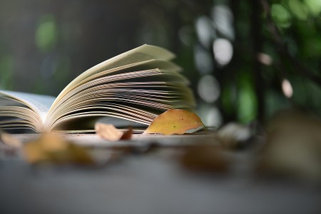 北京懷柔區(qū)義務(wù)教育非北京戶(hù)籍入學(xué)材料審核標(biāo)準(zhǔn)