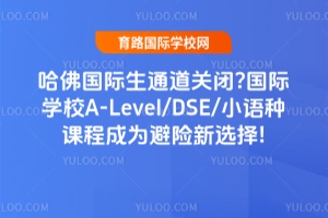哈佛國際生通道關閉？國際學校A-Level/DSE/小語種課程成為避險新選擇!