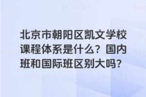 北京市朝陽區凱文學校課程體系是什么？國內班和國際班區別大嗎？
