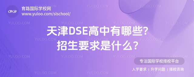 DSEҪ