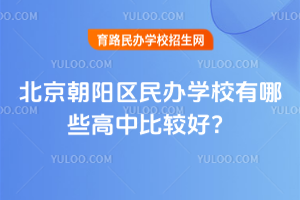 2025年北京朝陽區民辦學校有哪些高中比較好？