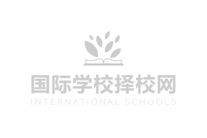 ZW(xu)HnA leveln(jin)